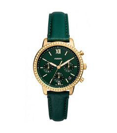 ES5239 Fossil