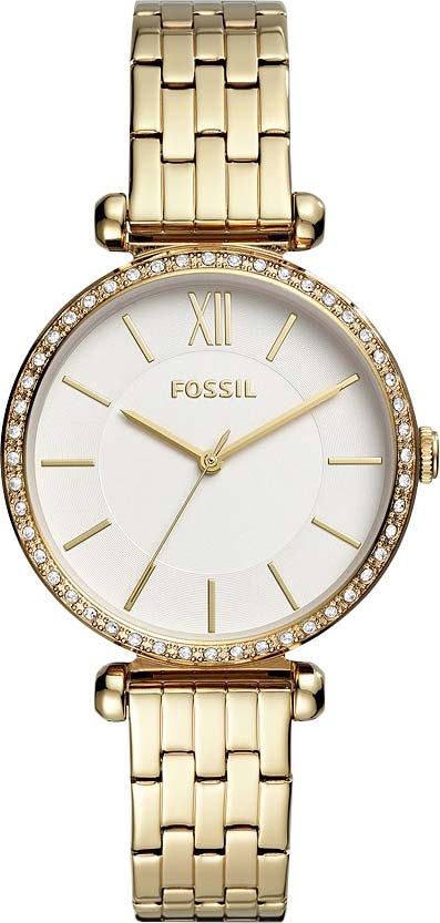 BQ3498 Fossil