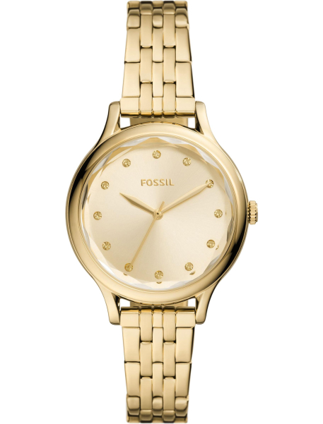 BQ3863 Fossil