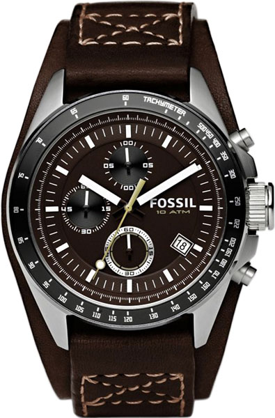 CH2599 Fossil