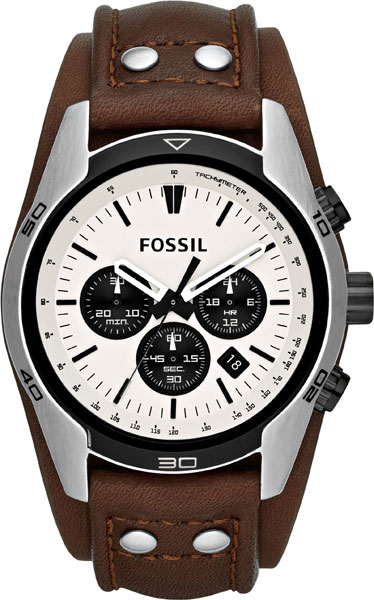 CH2890 Fossil