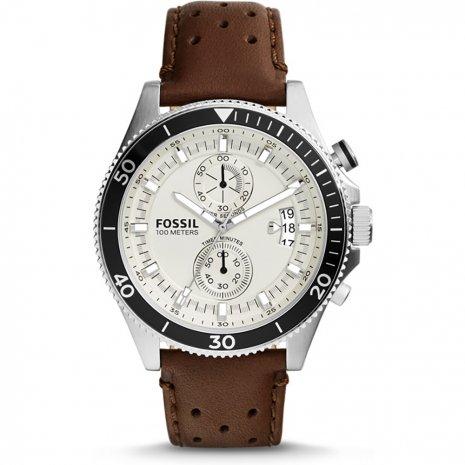 CH2943 Fossil