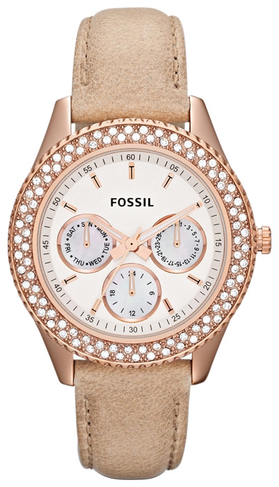 ES3104 Fossil