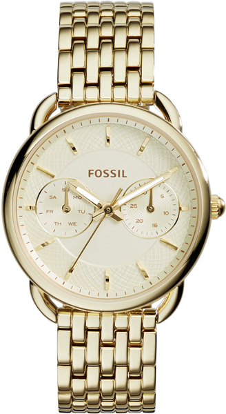 ES3714 Fossil