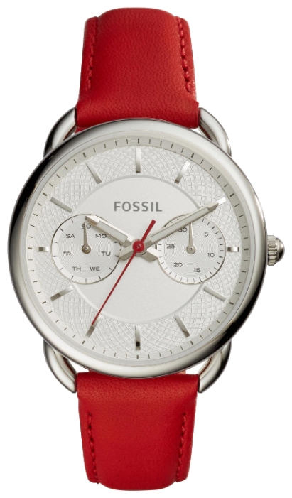 ES4122 Fossil