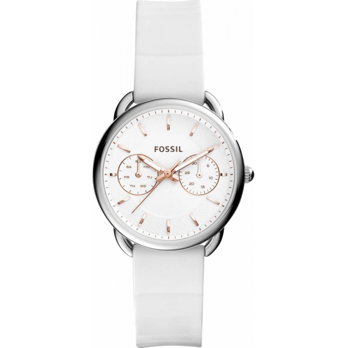 ES4223 Fossil