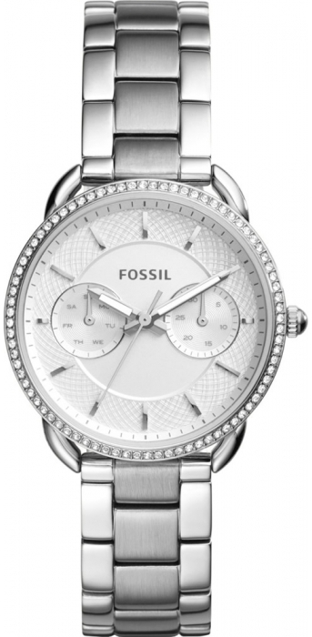 ES4262 Fossil