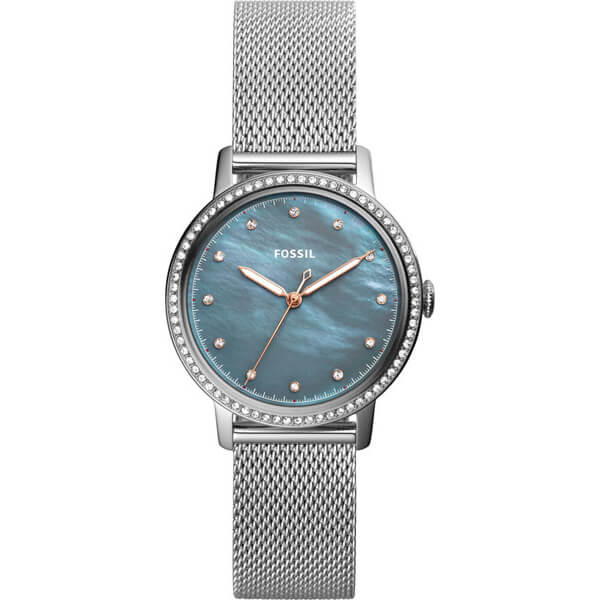 ES4313 Fossil