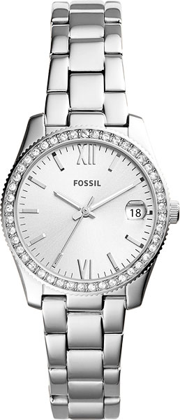 ES4317 Fossil