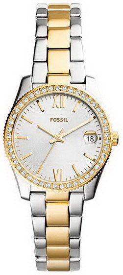 ES4319 Fossil