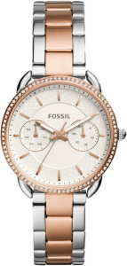 ES4396 Fossil