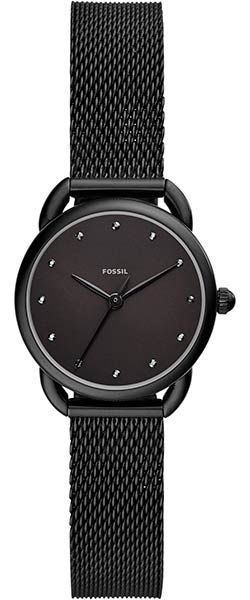 ES4489 Fossil