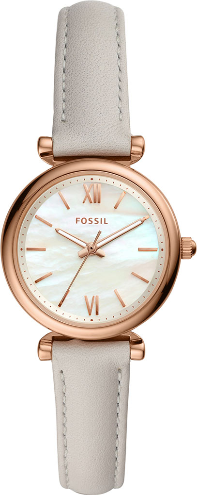 ES4529 Fossil