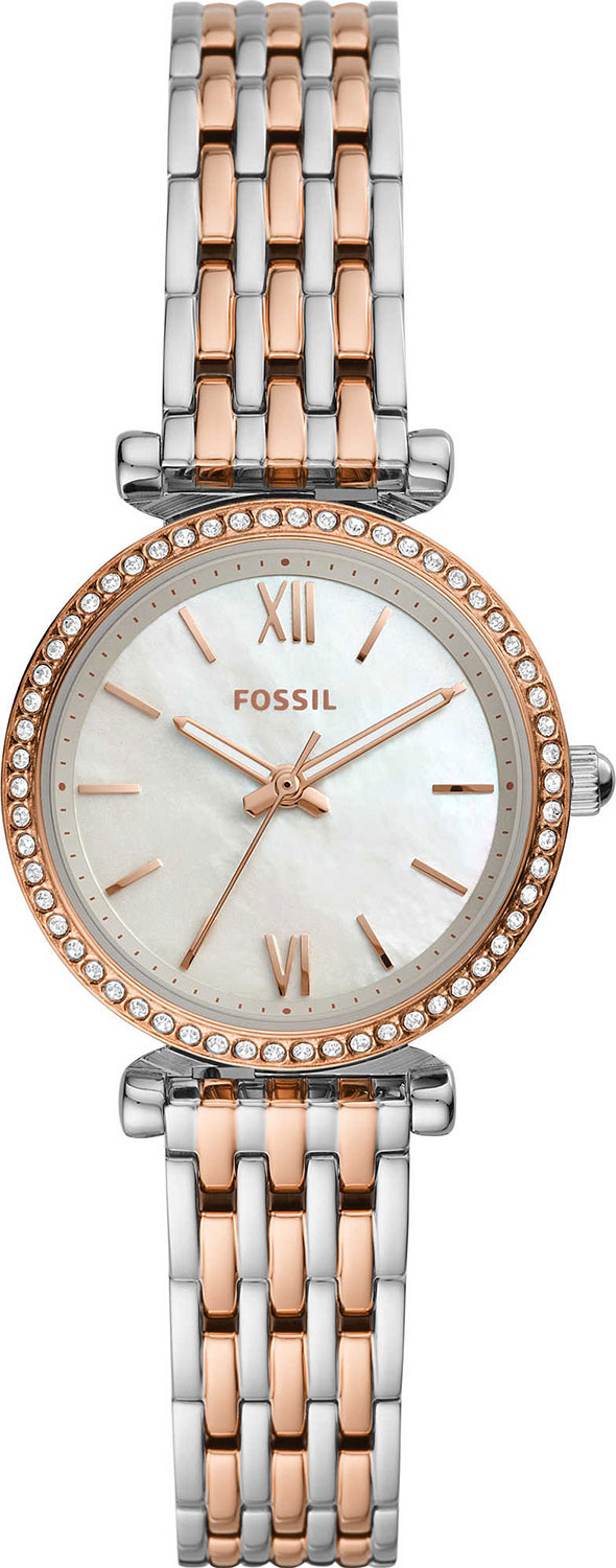 ES4649 Fossil