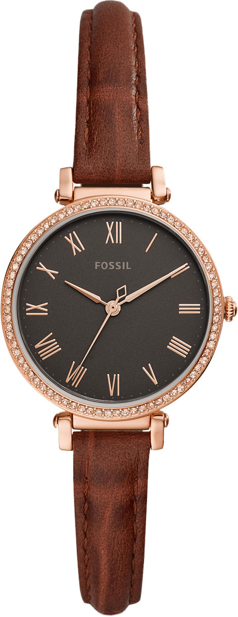ES4682 Fossil