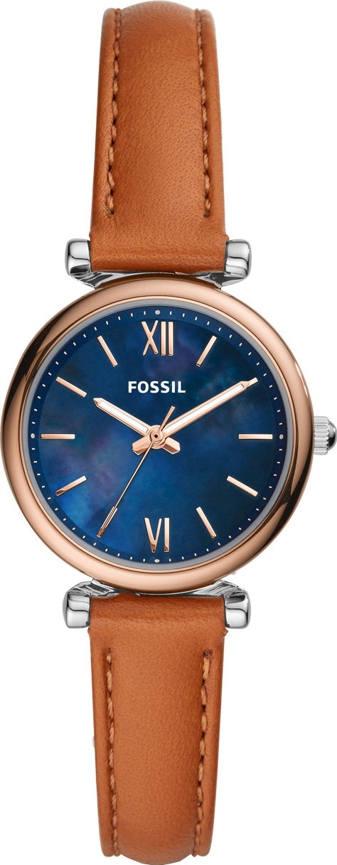 ES4701 Fossil