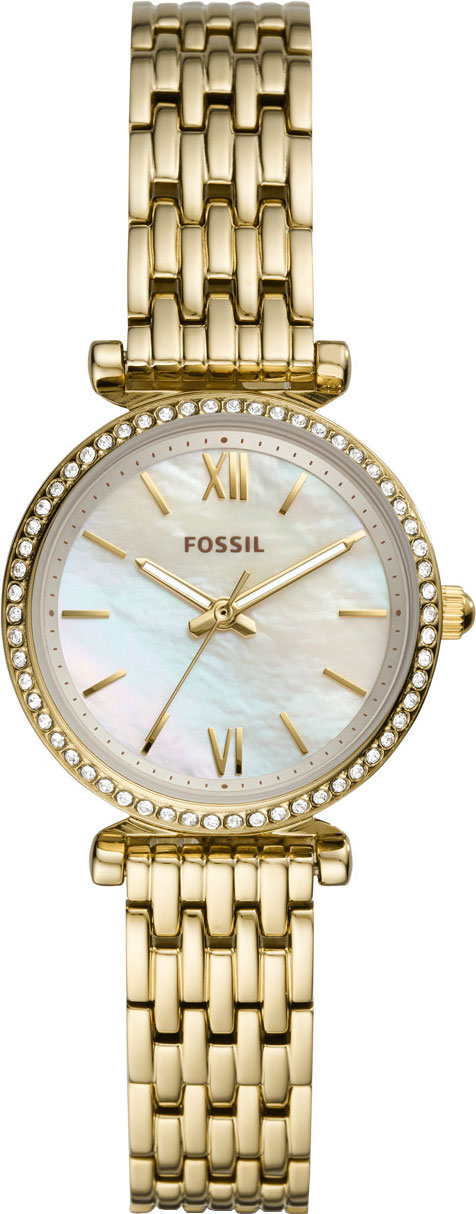 ES4735 Fossil