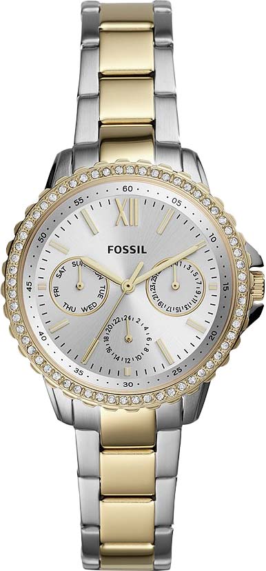 ES4784 Fossil