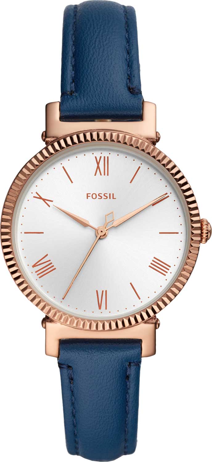 ES4862 Fossil