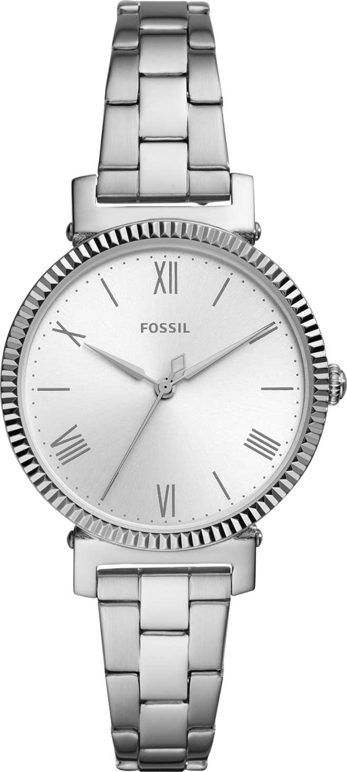 ES4864 Fossil
