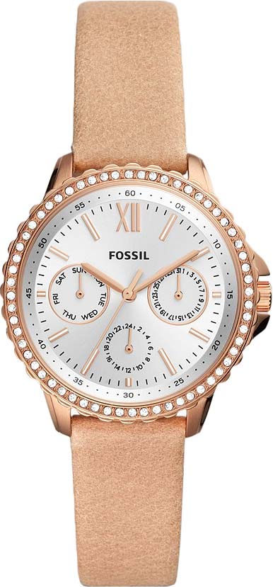 ES4888 Fossil