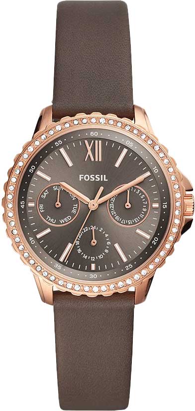 ES4889 Fossil