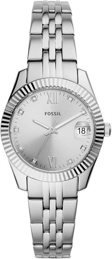 ES4897 Fossil