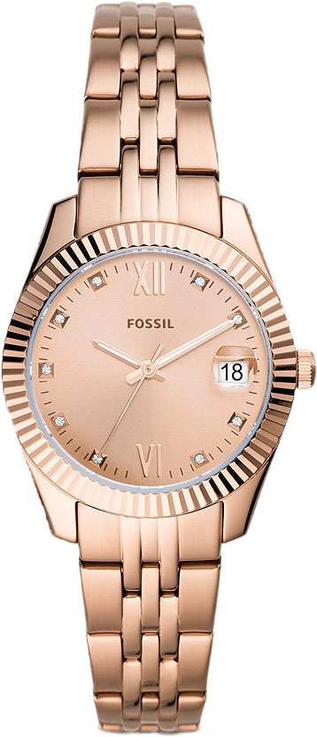 ES4898 Fossil