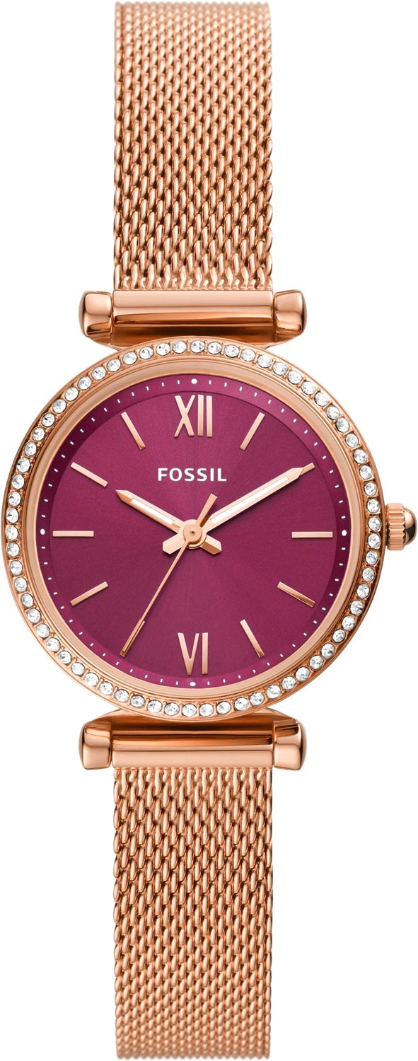 ES5011 Fossil