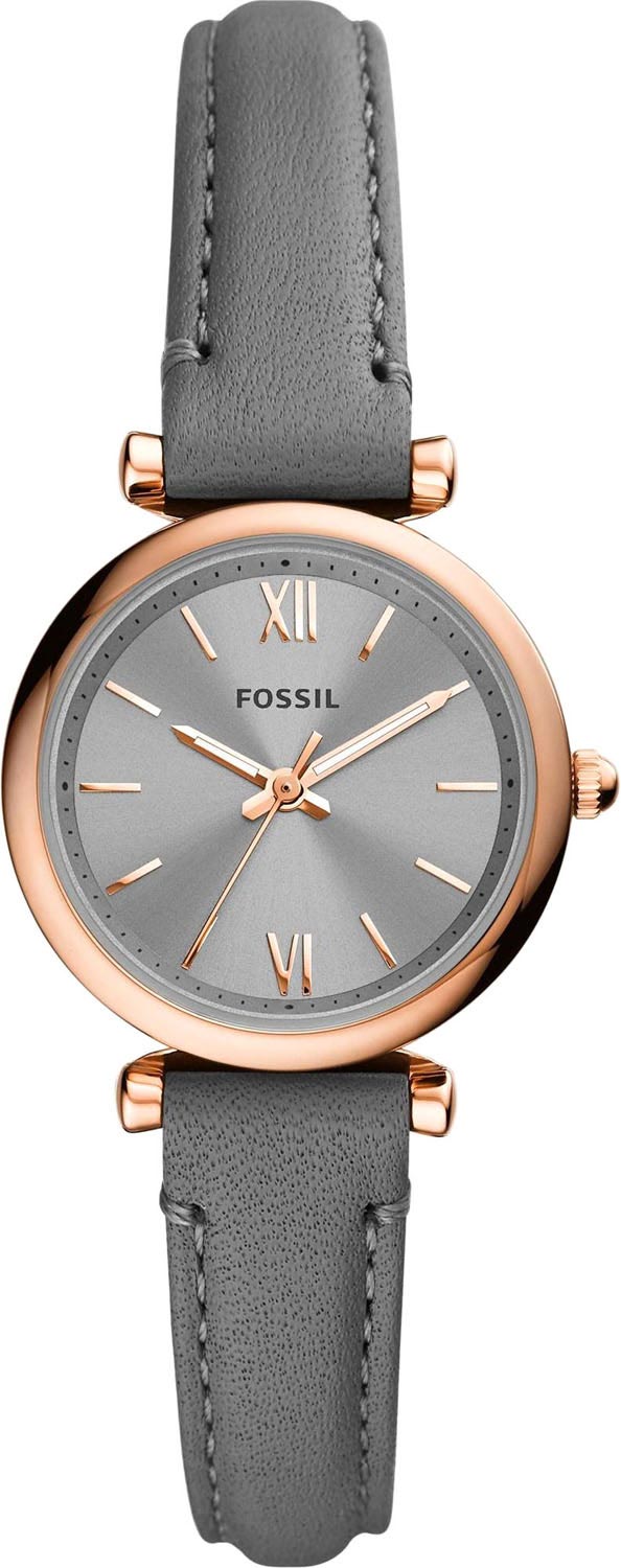 ES5068 Fossil