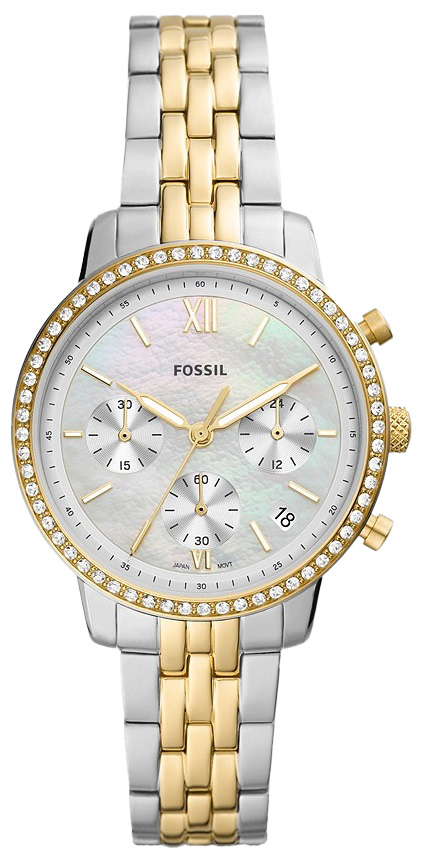 ES5216 Fossil