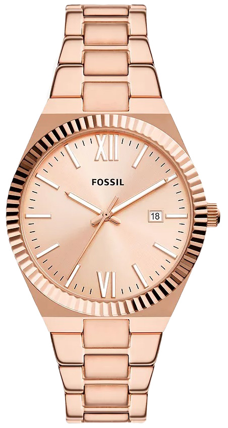 ES5258 Fossil