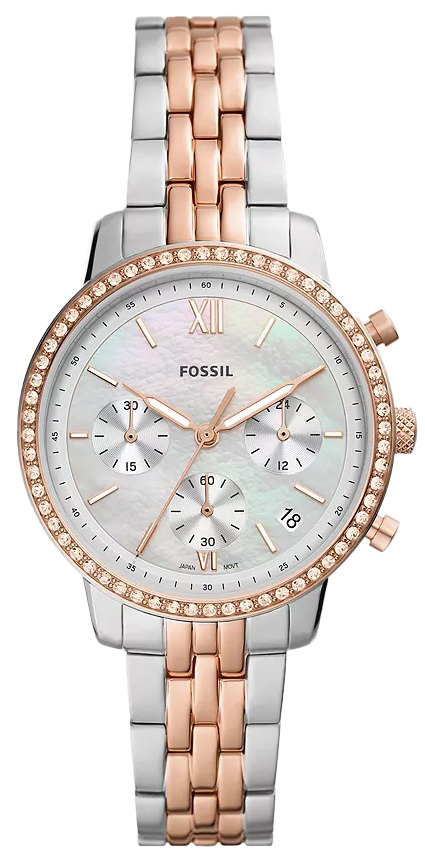 ES5279 Fossil