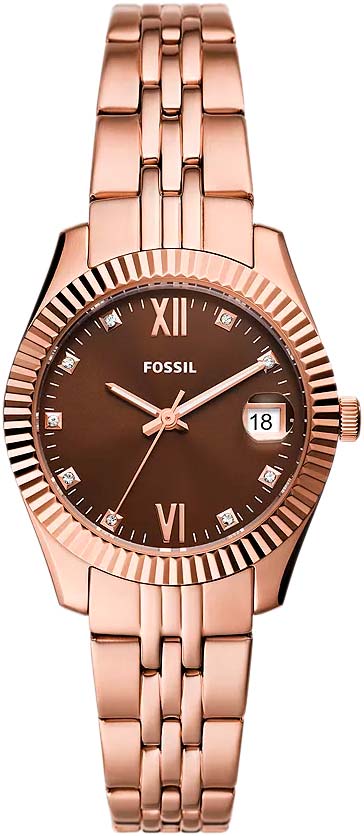 ES5324 Fossil