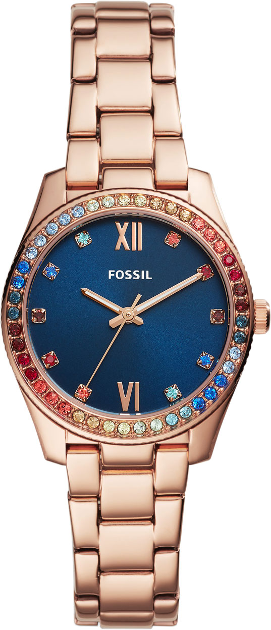 LE1057 Fossil