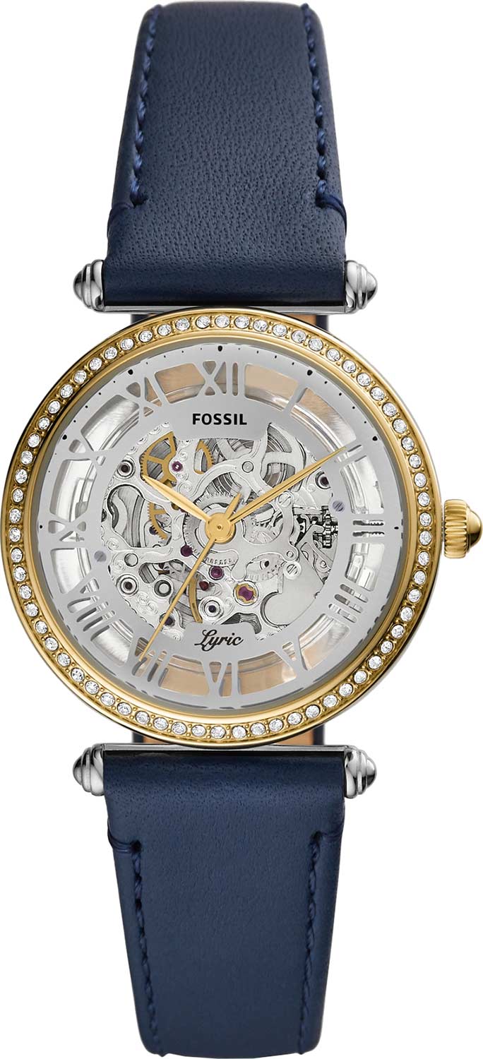 ME3199 Fossil